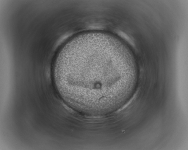 X0000111471307200908101106