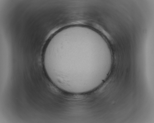 X0000111471308200908101106