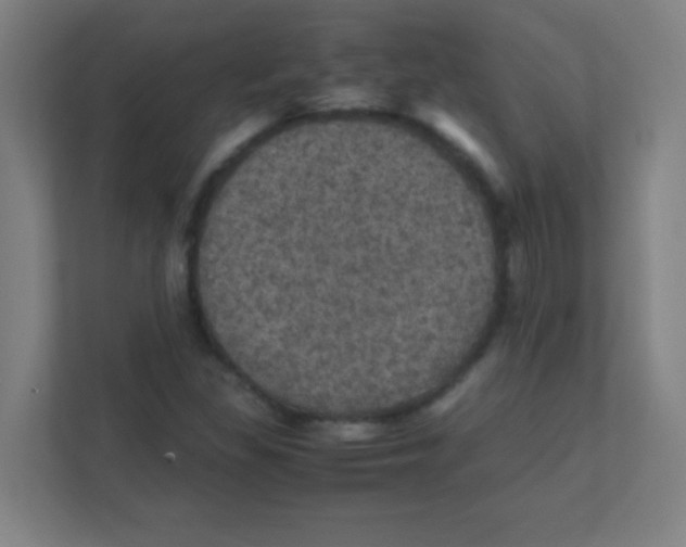 X0000111471309200908101106