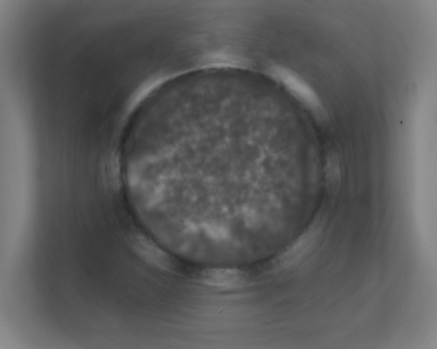 X0000111471310200908101107