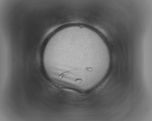 X0000111471311200908101107