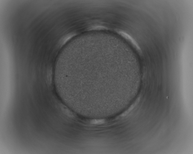 X0000111471313200908101107