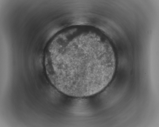 X0000111471314200908101107