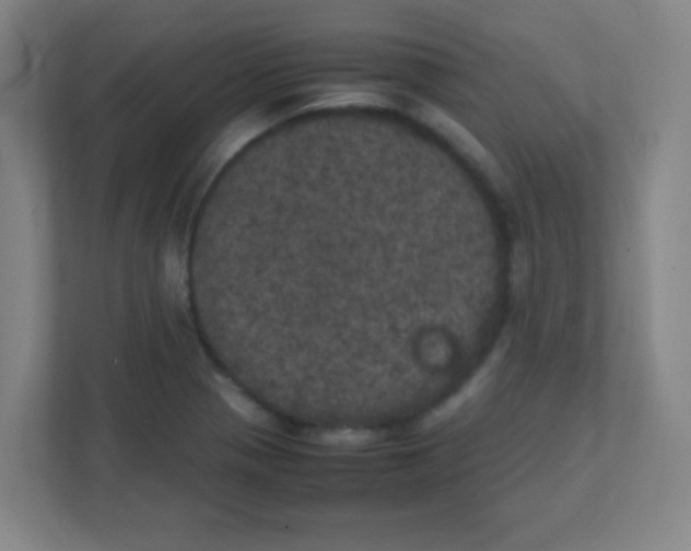 X0000111471321200908101107