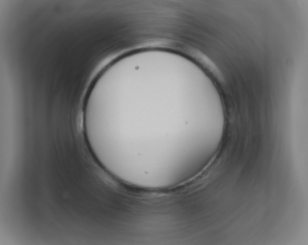 X0000111471324200908101107