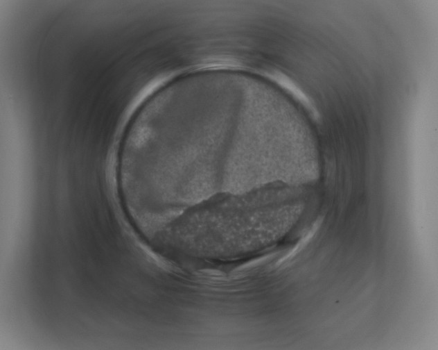 X0000111471325200908101107