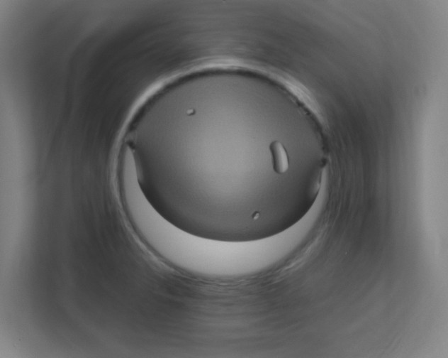 X0000111471326200908101107