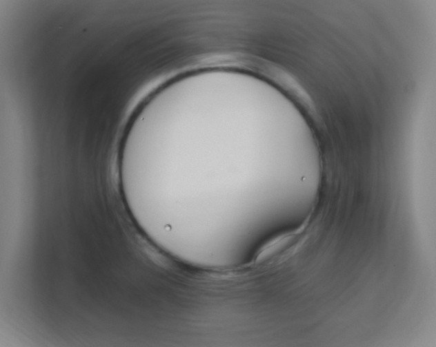 X0000111471328200908101107