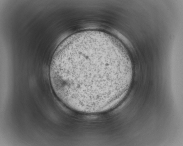 X0000111471329200908101107