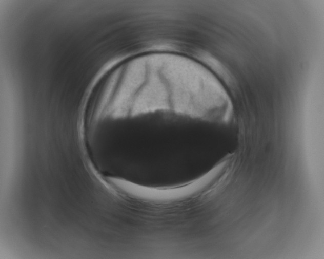 X0000111471331200908101107