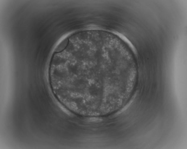 X0000111471333200908101107