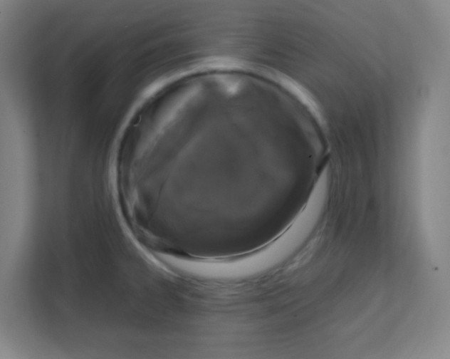 X0000111471334200908101107