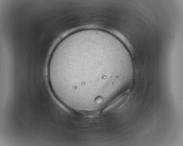 X0000111471335200908101107