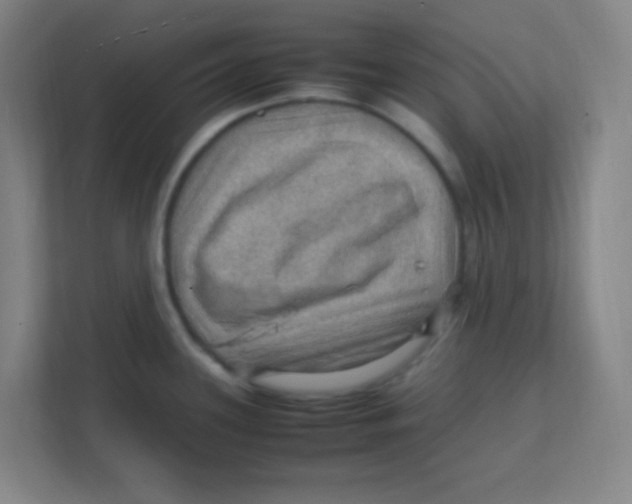 X0000111471339200908101107