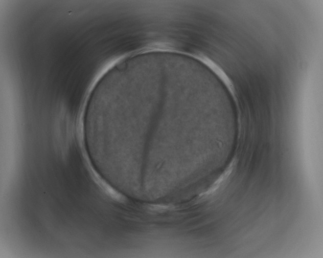 X0000111471341200908101107