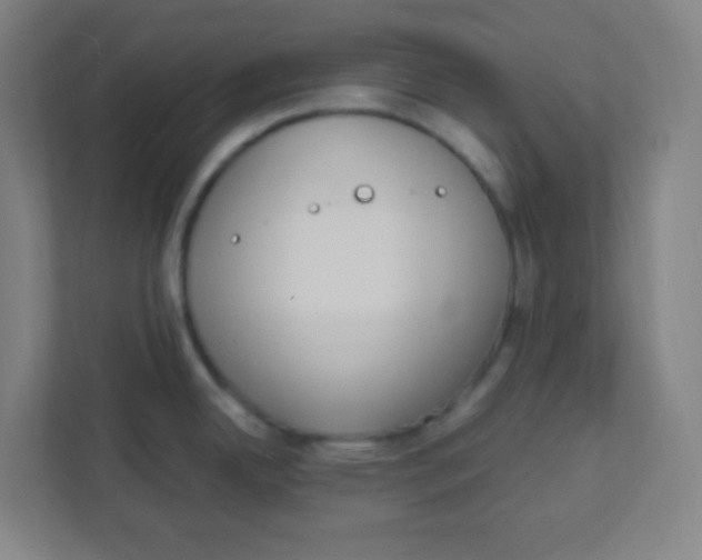 X0000111471342200908101107