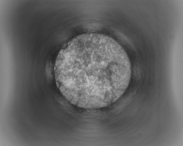 X0000111471346200908101106