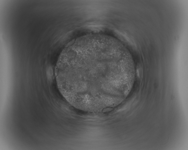 X0000111471347200908101106