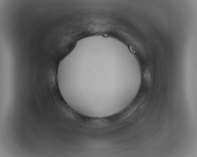 X0000111471348200908101106