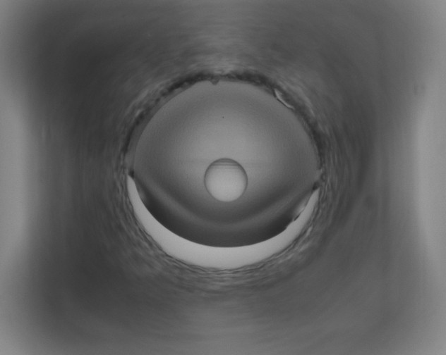 X0000111471349200908101106