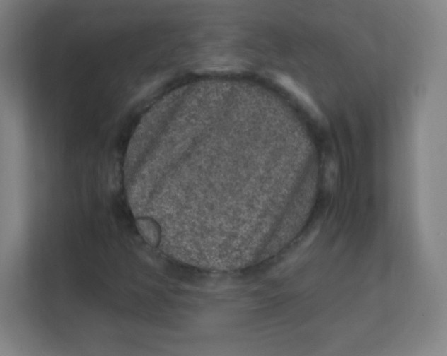 X0000111471350200908101106