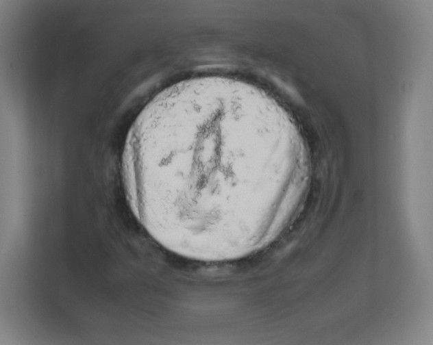 X0000111471351200908101106