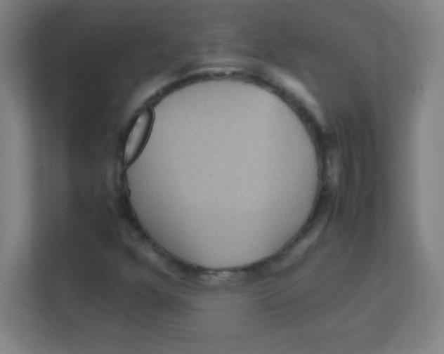 X0000111471352200908101106