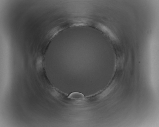 X0000111471353200908101106