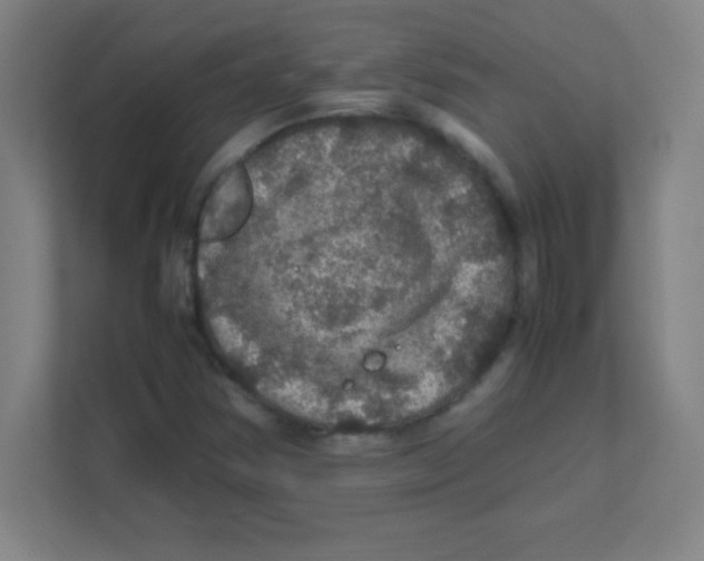 X0000111471354200908101106