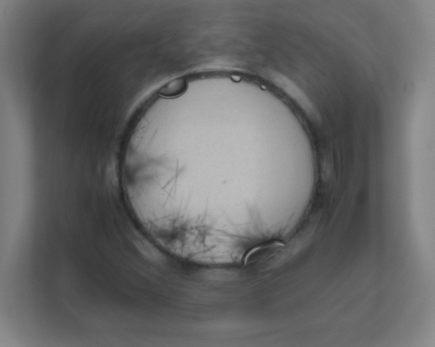 X0000111471356200908101106