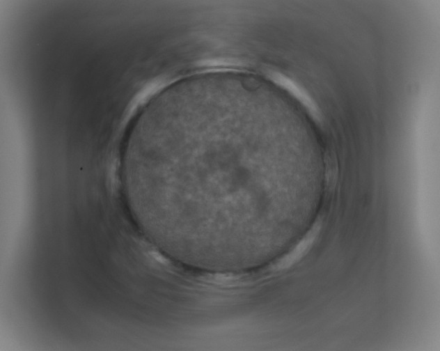 X0000111471357200908101106