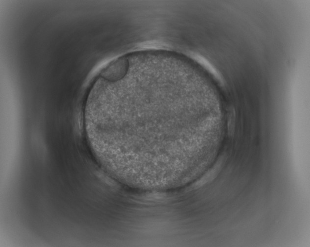 X0000111471358200908101106