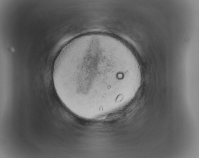 X0000111471359200908101106