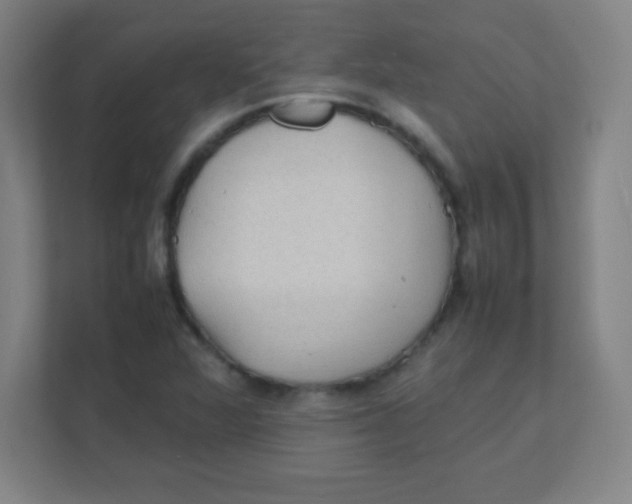 X0000111471360200908101106