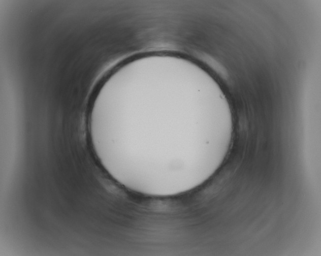 X0000111471364200908101106