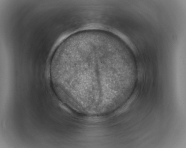 X0000111471366200908101106