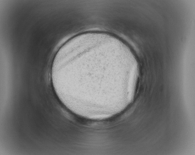 X0000111471367200908101106