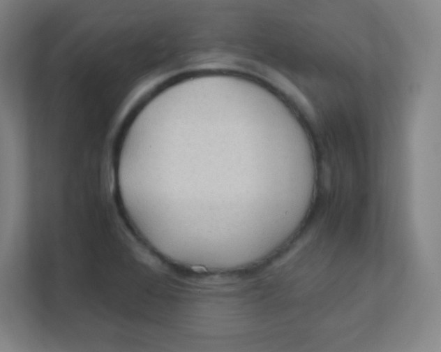 X0000111471368200908101106