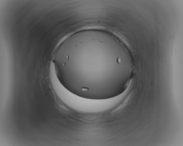 X0000111471369200908101106