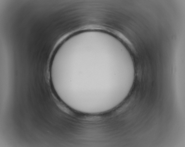 X0000111471372200908101106