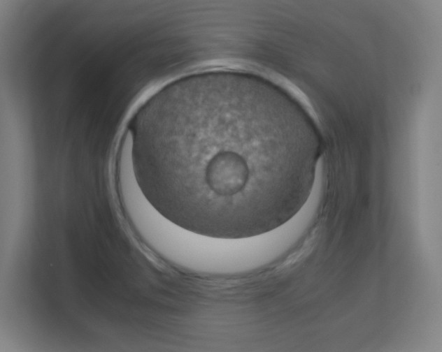 X0000111471373200908101106