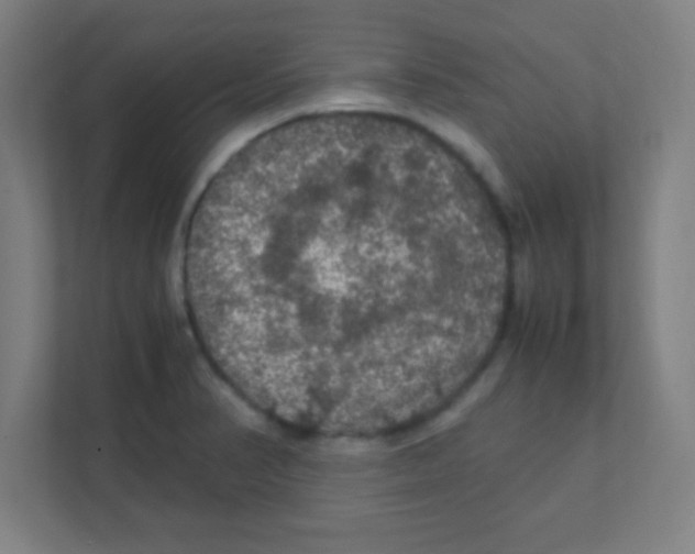 X0000111471374200908101106