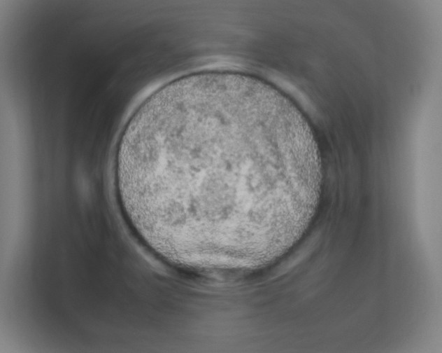 X0000111471375200908101106