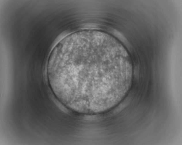 X0000111471378200908101106