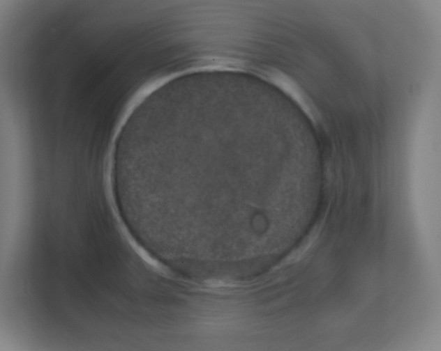 X0000111471379200908101106