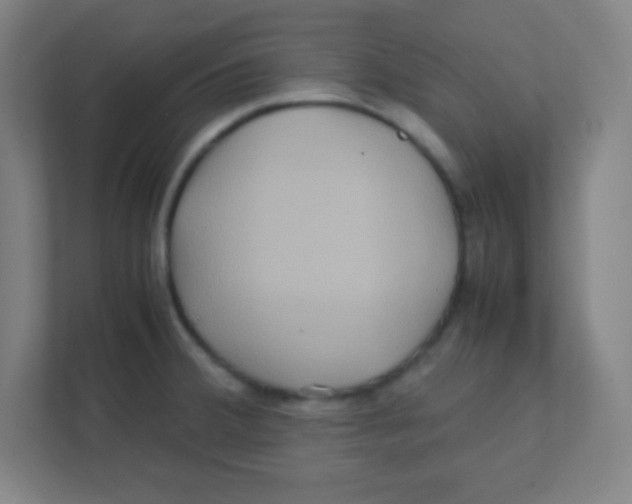 X0000111471380200908101106