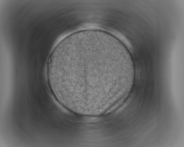 X0000111471382200908101106