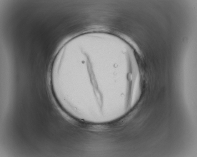 X0000111471383200908101106