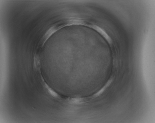 X0000111471385200908101106