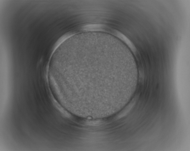 X0000111471386200908101106